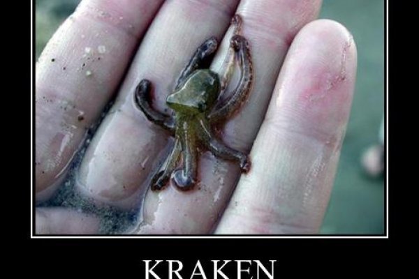 Kraken com login