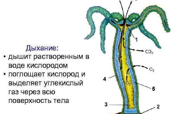 Браузер для кракен