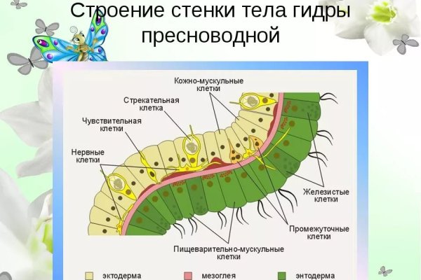 Актуальный адрес кракена