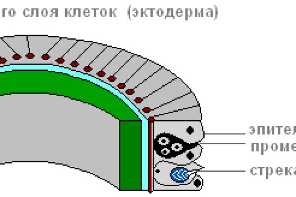 Кракен закладки